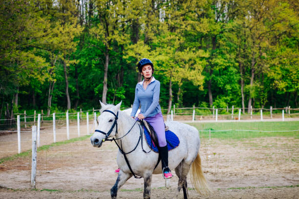 istock Woman practicing with her horse outdoors 1143359534
