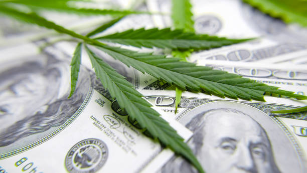 Cannabis leaf on Dollar bill, green leaf of marijuana. Money and hemp. The concept of legalization of the drug business, CBD oil Cannabis leaf on Dollar bill, green leaf of marijuana. Money and hemp. The concept of legalization of the drug business, CBD oil hashish photos stock pictures, royalty-free photos & images