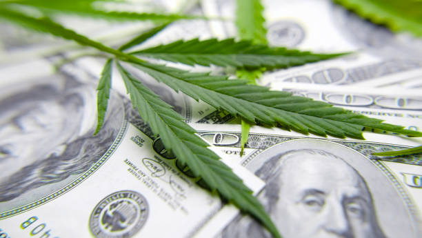 Cannabis leaf on Dollar bill, green leaf of marijuana. Money and hemp. The concept of legalization of the drug business, CBD oil Cannabis leaf on Dollar bill, green leaf of marijuana. Money and hemp. The concept of legalization of the drug business, CBD oil cannabaceae stock pictures, royalty-free photos & images