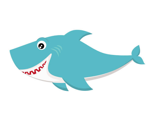 счастливый мультфильм акулы - shark animal blue cartoon stock illustrations