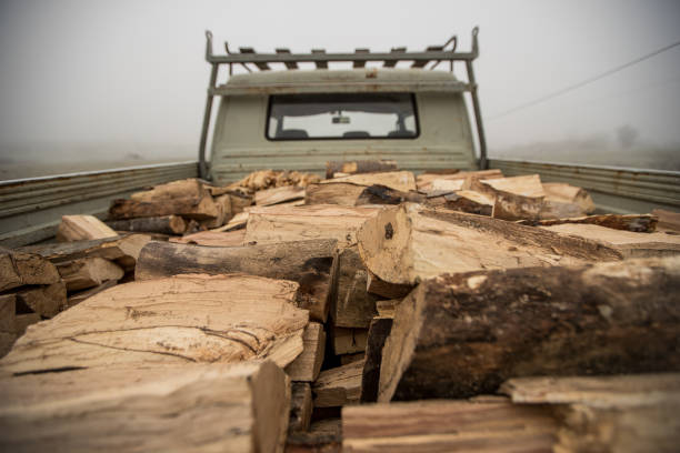 Cut fire wood in trailer