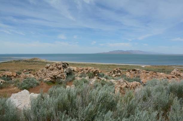 istock Spring Panorama At Antelope Island State Park - Utah 1143361908