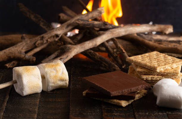 Making Smores on a Campfire Making Smores on a Campfire marshmallow photos stock pictures, royalty-free photos & images