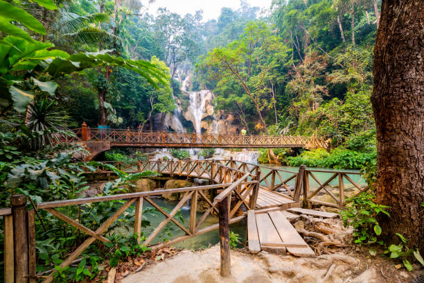 istock Tad Kwang Si Waterfall in summer 1143366116