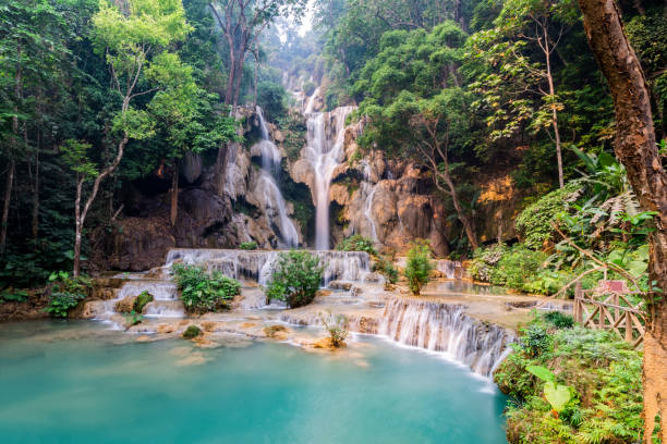 istock Tad Kwang Si Waterfall in summer 1143366131