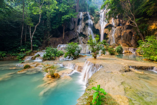 istock Tad Kwang Si Waterfall in summer 1143366202