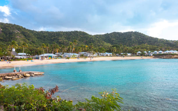 istock Caribbean beach - Hawksbill, Antigua & Barbuda 1143367579