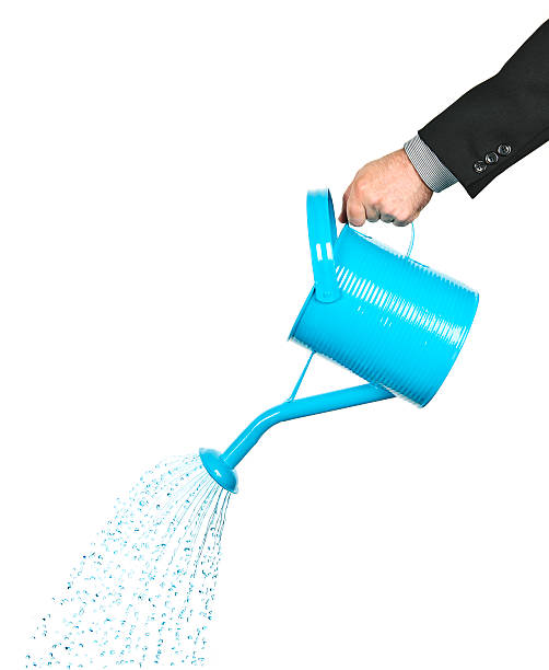 istock Hand pouring water from watering can 114337467