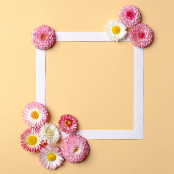 istock Abstract composition with flowers on pastel yellow background. Minimal creative layout. Spring flat lay concept 1143375740