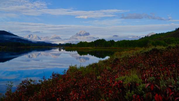 Snake River Fire Bush Northwest Wyoming's Teton Range.
Grand Teton National Park.
Snake River/Oxbow Bend. snake river valley grand teton national park stock pictures, royalty-free photos & images