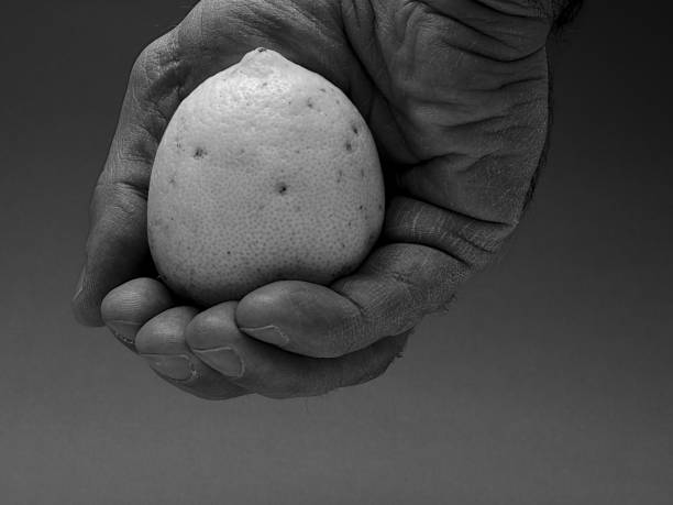 istock Farmer hand holding a lemon. 1143379823