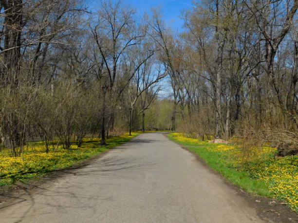 istock country road in Bronx Park 1143381597