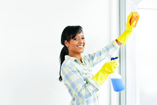 istock Smiling woman cleaning windows 114338415