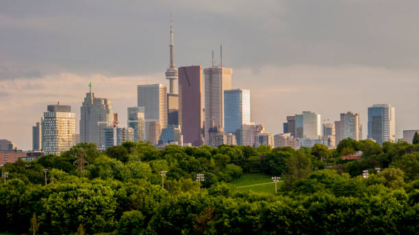 Toronto Skyline From A Distance In High Contrast stock photo