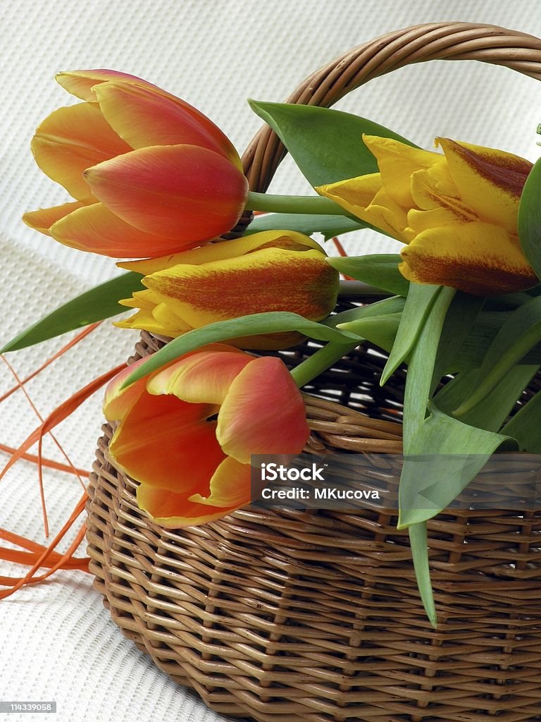 Tulpen - Lizenzfrei Bildhintergrund Stock-Foto