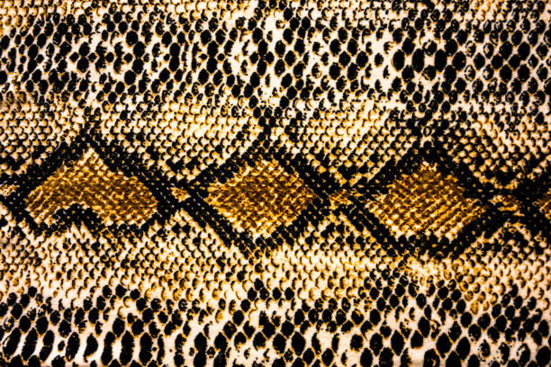 Pattern of brown snake skin on shirt