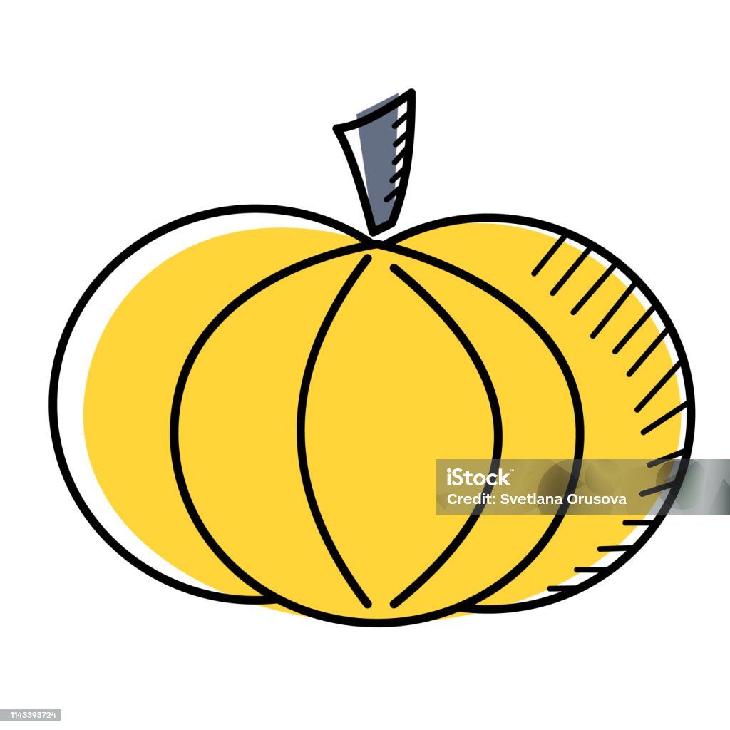 pumpkin flat illustration on white pumpkin flat illustration on white. Kitchen tableware, vegetables and food series. Autumn stock vector