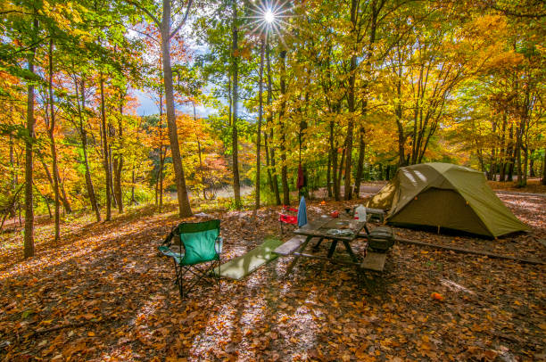 秋のキャンプサイト - キャンプする ストックフォトと画像