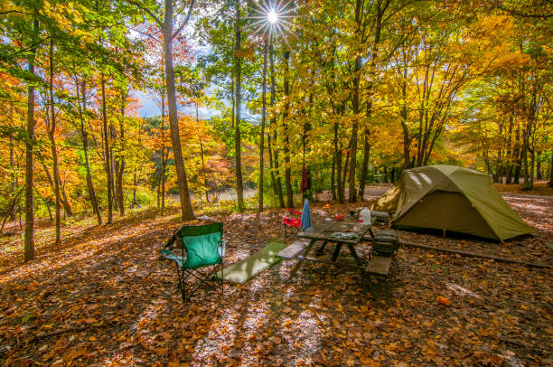 Autumn Campsite Autumn Campsite scene. All you have to do to enjoy the fall colors at Grayson Highlands State Park in Virginia is sit down at your campsite. fall picnic table stock pictures, royalty-free photos & images