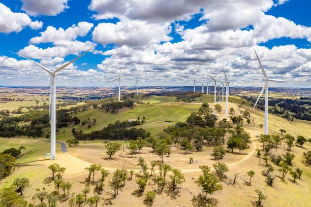 Wind Farm out in a paddock. stock photo