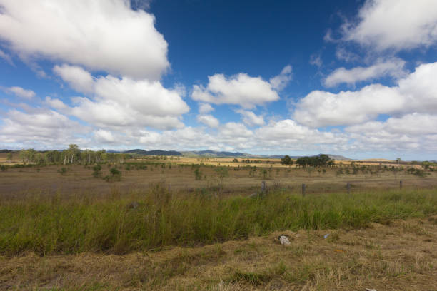 Australian outback territory north of Rockhampton, Queensland, Australai