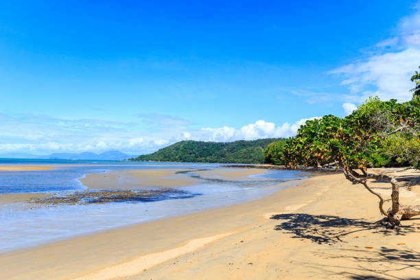 istock Beautiful day on the beach 1143398931