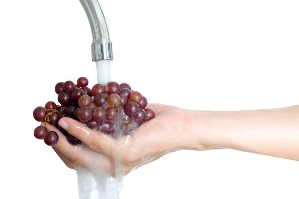 Hand of  woman holding grape fruit hands she wash cleanse have water flowing through grape fruit at home. Clean and Healthy Diet Concept stock photo