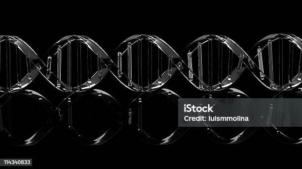 Wyizolowane Dna - zdjęcia stockowe i więcej obrazów Badania - Badania, Badanie genetyczne, Bez ludzi