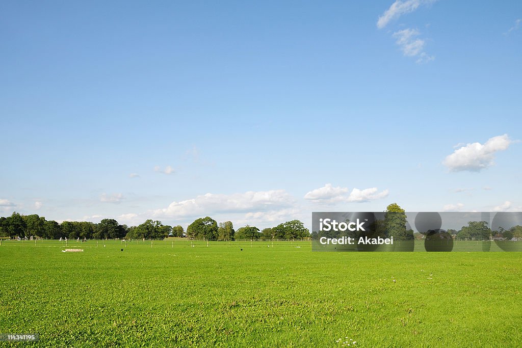 Champ vert et bleu ciel en été - Photo de Champ libre de droits