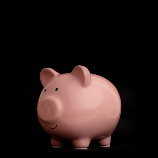 istock Piggy Bank 1143412965