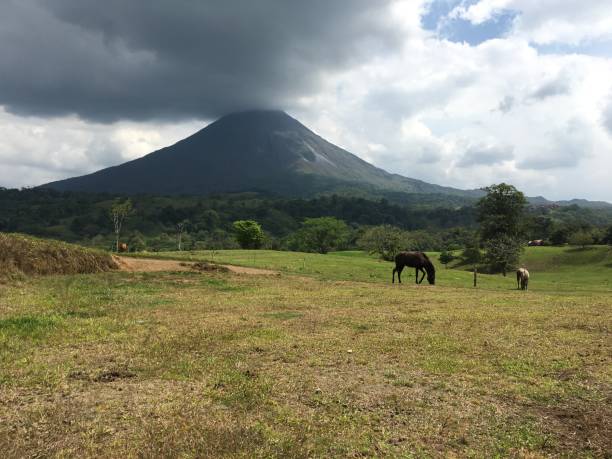 istock Majestic volcano and horses 1143418655