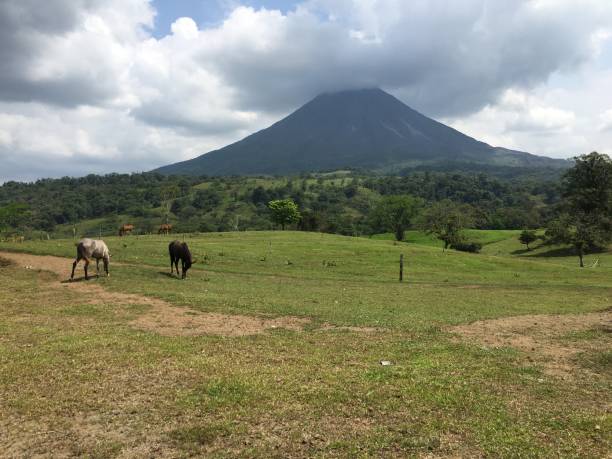 istock Majestic volcano and horses 1143418771