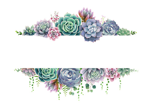 Greenery, succulent and branches frame border on white background. Beautiful template for invite or greeting card, banner, backdrop. All elements are isolated and editable. Vector