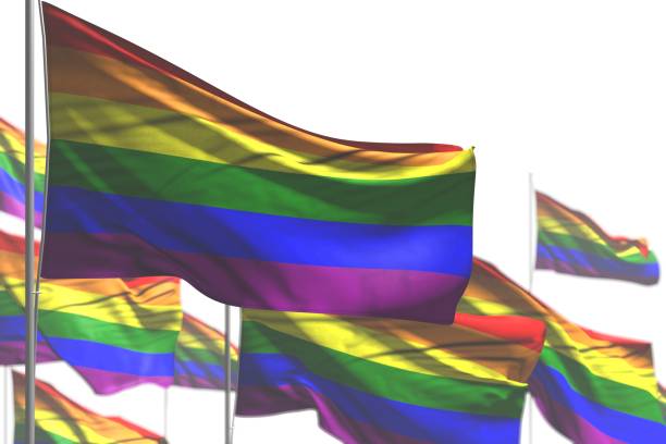 istock cute any feast flag 3d illustration
 - many Gay Pride flags are wave isolated on white - image with selective focus 1143422870