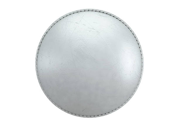Pink isolated vector, glossy web button. Beautiful internet button.Empty on white background.