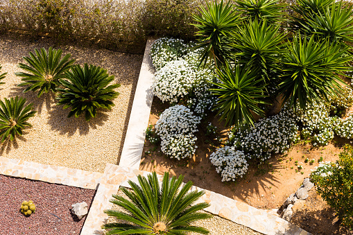 Diseño paisajístico con palmeras y flores. Vista superior del moderno jardín con terraza. photo