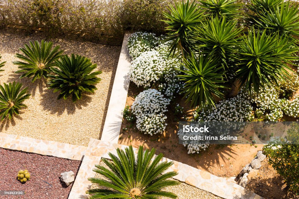 Landscape design with palm trees and flowers. Top view of the modern garden design with a terrace. Landscape design with palm trees and flowers. Top view of the modern garden design with a terrace Yard - Grounds Stock Photo