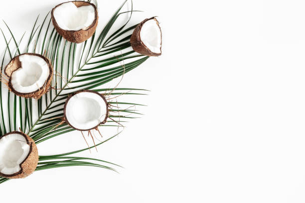 istock Summer composition. Tropical palm leaves, coconut on white background. Summer concept. Flat lay, top view, copy space 1143425053