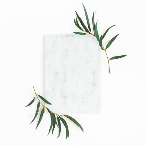 istock Paper blank, eucalyptus branches on white background. Wedding invitation card. Flat lay, top view, copy space 1143425283