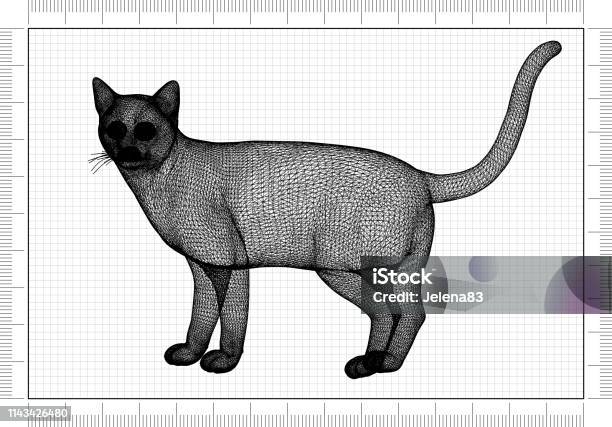 Cat Architect Blueprint Stock Photo - Download Image Now - Animal, Animal  Body Part, Animal Eye - iStock