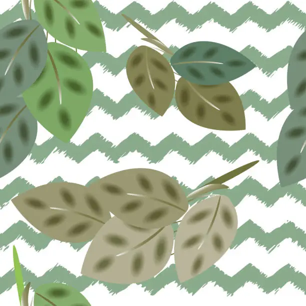 Vector illustration of Tropik Maranta leaves in pastel green tones. Vector seamless illustration, zigzag lines background of is hand-drawn brush background. Summer pattern, plant world, jugli forest, tropical exotic plan.