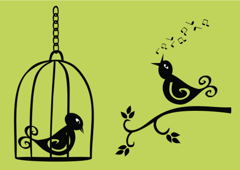 Vector illustration of singing bird on branch and sad bird in a cage