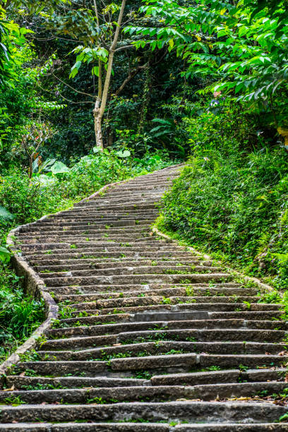 istock Lonely trail up the mountain 1143430339