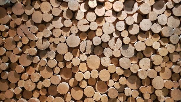 istock Pile of cut timber background 1143431275