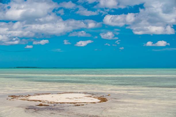 istock Little island in the ocean. 1143432415