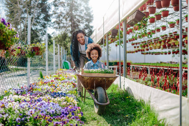 Mother And Daughter Gardening Mother and daughter having fun, mother riding her cute daughter in wheelbarrow. plant nursery photos stock pictures, royalty-free photos & images