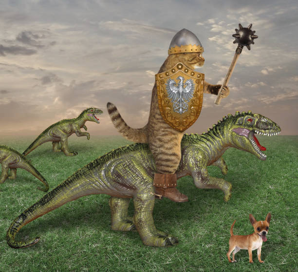 istock Cat riding a dragon in the field 2 1143437481