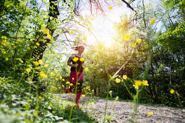 young sporty woman jogging through the forest. - wood dirt road footpath exercising imagens e fotografias de stock