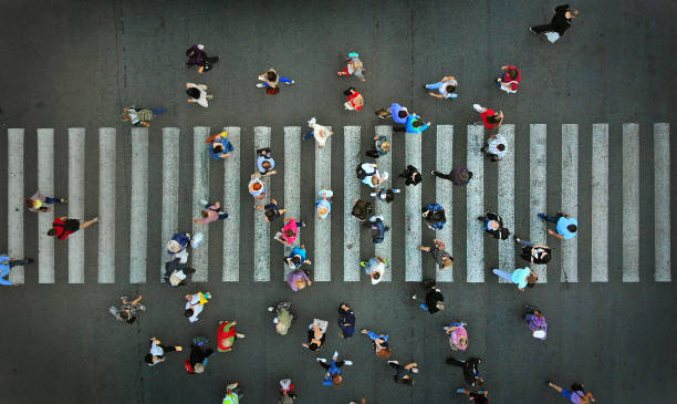 multitud peatonal cruzando crosswalk, vista superior. - tráfico fotos fotografías e imágenes de stock