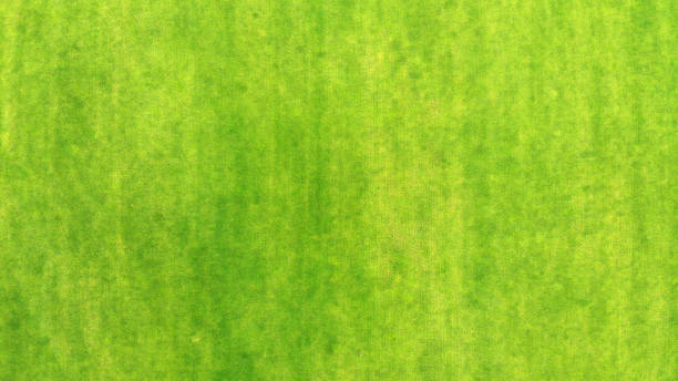istock Green grass texture background, aerial, top view 1143439146